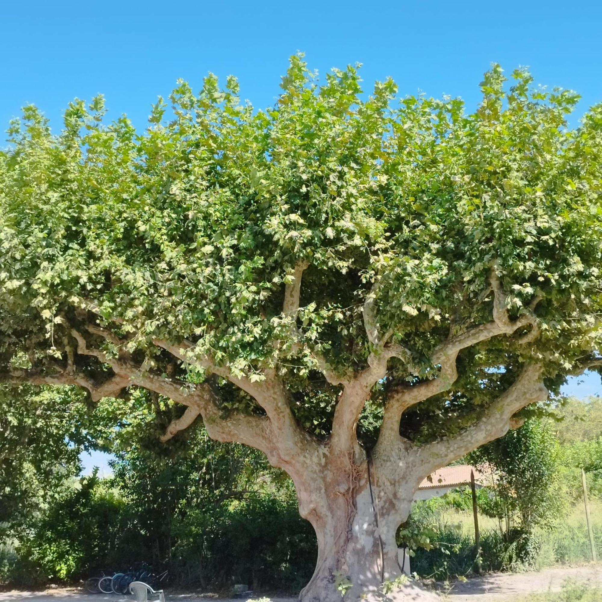 Mas En Provence Villa Le Thor Dış mekan fotoğraf
