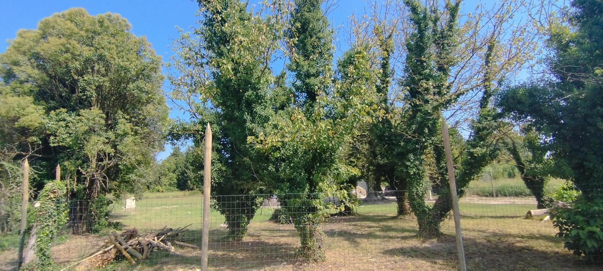 Mas En Provence Villa Le Thor Dış mekan fotoğraf