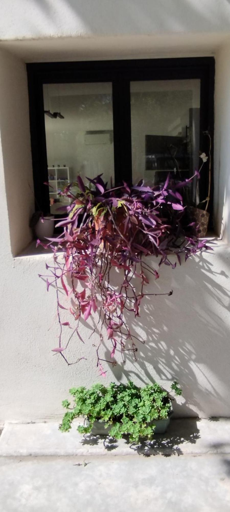 Mas En Provence Villa Le Thor Dış mekan fotoğraf